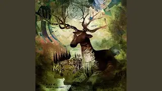 Nighttime Witchery