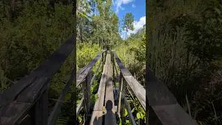 Hiking Across the Wiley Walkway Bridge along the Florida Trail