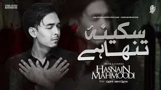 Noha 2024 | Sakina Tanha Hai | Hasnain Mahmoodi