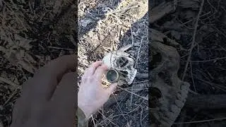 бар каннибал заведения не для слабонервных