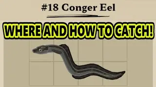 Dredge Conger Eel - How To Catch Congor Eel In Dredge
