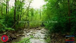 Whispers of the Morning Breeze  Chill Background Music for Mindfulness