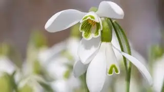 С первым днём Весны!🌷🌷🌷