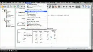 Transforming Variables in SPSS