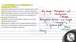 The main difference between photosynthetic and chemosynthetic bacteria is
(A) photosynthetic bac...