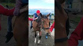 Иппотерапия на Камчатке @кузнецбо