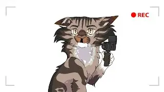 STUPID VIDEOS - WARRIOR CATS