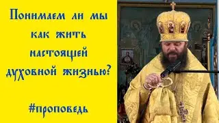 ☦️ Понимаем ли мы как жить настоящей духовной жизнью? #проповедь