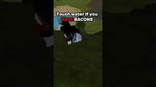 Touch water if you HATE BACONS 🥓! 