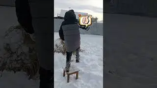 23 января 2023 г.