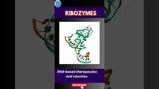 Ribozyme in Genetic Engineering:  Role in Biotech and Biopharma 