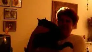 Your Noochness & Bella Mozzarella Song