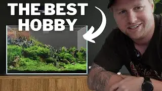 The Aquarium Keeping Hobby is the Best. Here's Why.