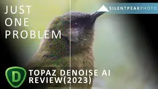 Topaz Denoise AI Review (2023) - Never better - but some issues remain