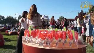 Фестиваль Путешествие в Сестрорецке (22.08.2015)