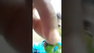 sutti kulanthaien samayal tips