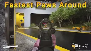 The Fastest Paws Around