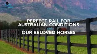 Stallion Rail - The Thoroughbred of Fencing
