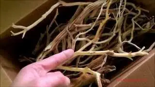 Driftwood for Aquaqscaping..Manzanita Wood
