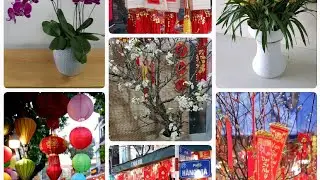 Tet in vietnam 🇻🇳