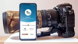 7 applications (gratuites) pour la photo animalière et nature