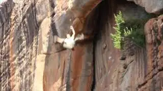 Weekend Whipper: 