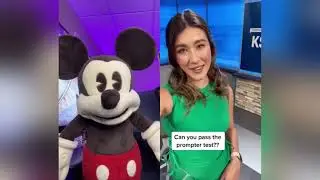 Mickey Mouse TikTok Puppet REACTS to VIRAL MEMES (@HassanKhadair) Compilation