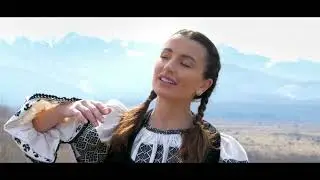 Paula Hriscu - Fir de vânt