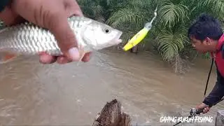 WARNA UMPAN LURE YANG TEPAT// CASTING HAMPALA