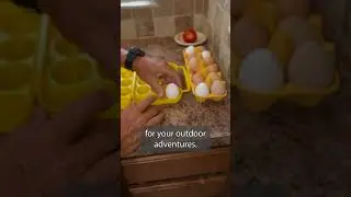 Why NOT Refrigerate Chicken Coop Eggs Right Away?