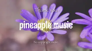 【Thank You】No copyright music 著作権フリー