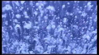 The Twins - Water Coaster