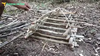 Passo a passo de como fazer uma arapuca para capturar pássaros