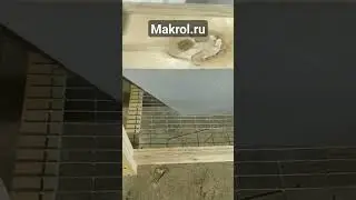 Шахта в клетке.