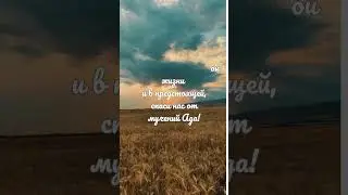 дуа🤲🌿🌱