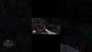 Spicy Staff: The Best Scarab Killing Tool #shorts #grounded