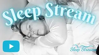 Sleep/Snore Stream with Puppies