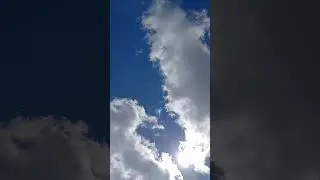 #heart 🤍