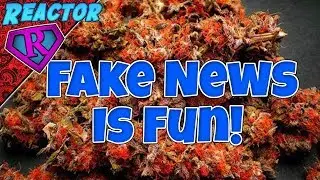 How I Created Fake News