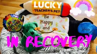 IN RECOVERY|SLEEPING LUCKY