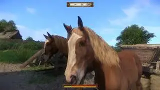 Kingdom Come  Deliverance Very High GTX 1050Ti