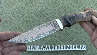 Выпуск № 31, 2023.
