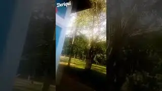 PALHAÇÃO DO MAL - MC Madan - Se ficar ele te Come