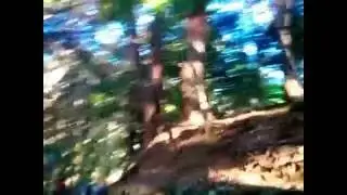 Удзи, подъем на Daikichiyama