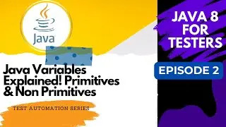Java 8 for Testers , Variables - Episode 2