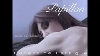 Papillon