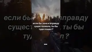 пошёл ли в зону? #сталкер #stalker
