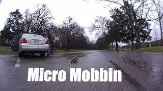 Micro Mobbin - HD footage