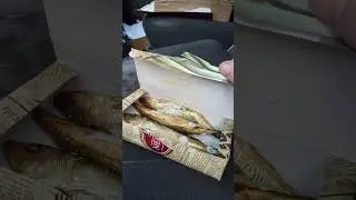 Рыбка в магните