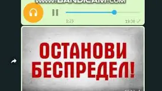 Вся правда о законах карантина